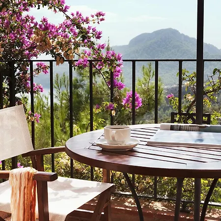 Dionysos Village Marmaris トゥルンチュ