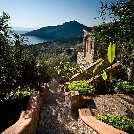 Dionysos Village Marmaris トゥルンチュ