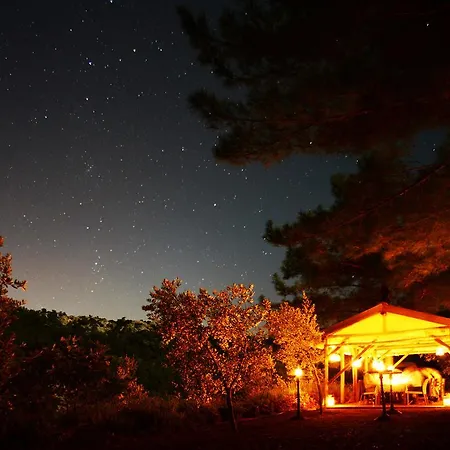 ホテル Dionysos Village Marmaris 3*