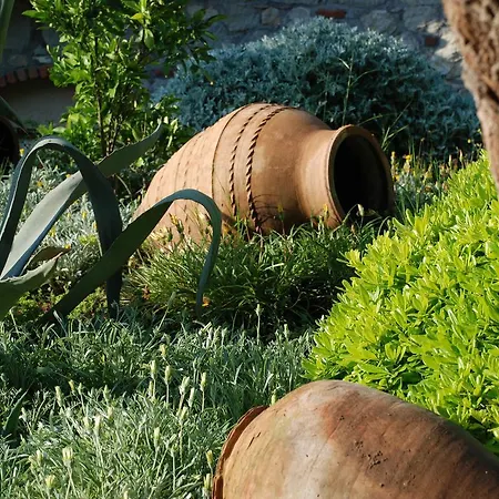 Dionysos Village Marmaris ホテル トゥルンチュ