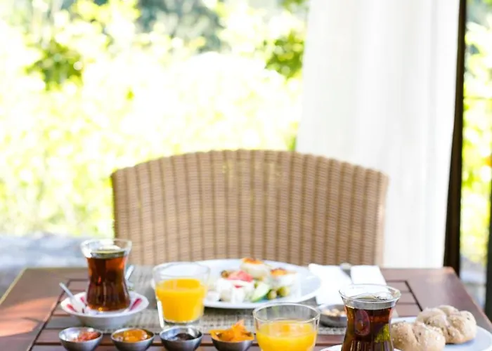 Dionysos Village Marmaris 3*