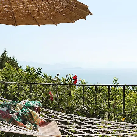 Dionysos Hotel Turunc