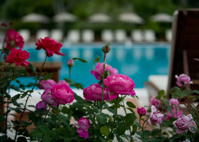 Dionysos Village Marmaris 3* 투룬치