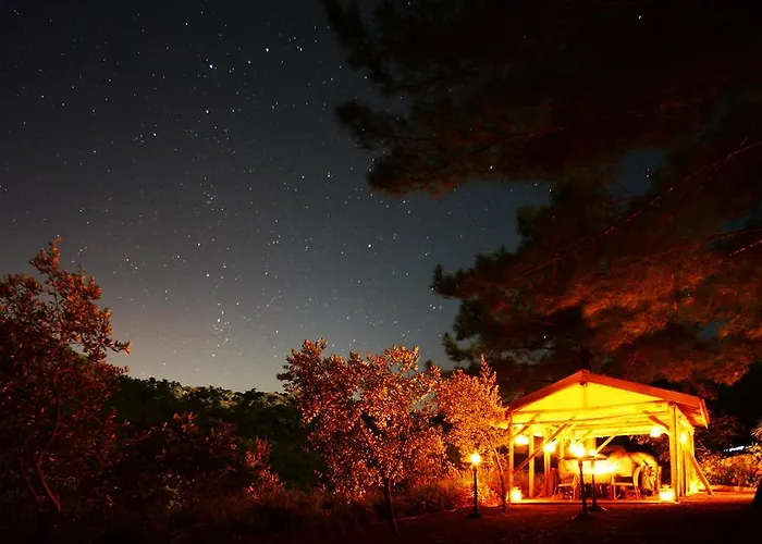 호텔 Dionysos Village Marmaris 3*